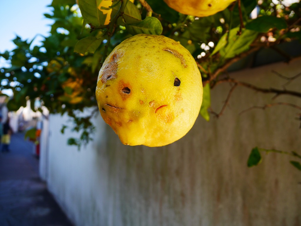 J'ai rencontré un citron un zeste mécontent