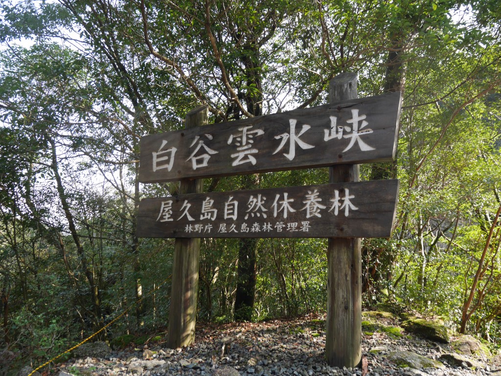 Shiratani Unsuikyo