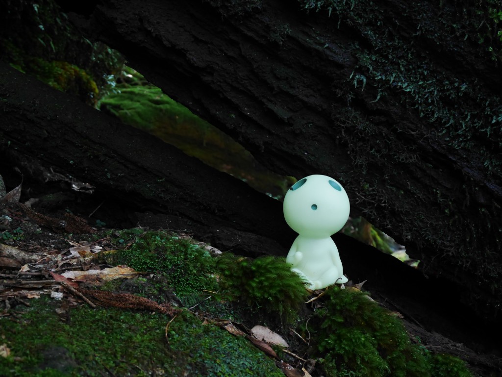 Kodama repéré ! (Merci au Japonais qui passait de l'avoir déposé pour que nous le prenions en photo)