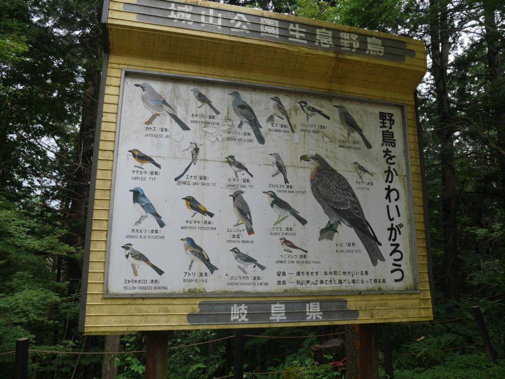 Les différents oiseaux que l'on peut observer dans la forêt de Shirayama