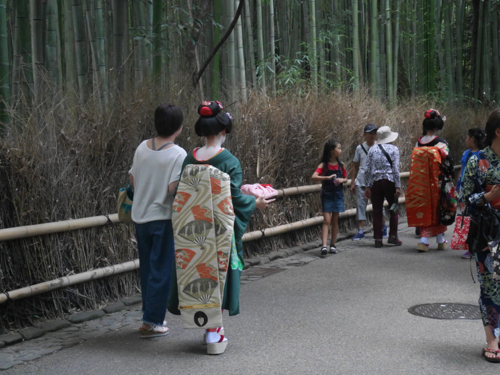 Apparition fortuite d'une maiko, apprentie geiko (les geisha de Kyôto)