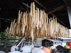 Daikon séchés (les Daikon sont comme des grands radis)