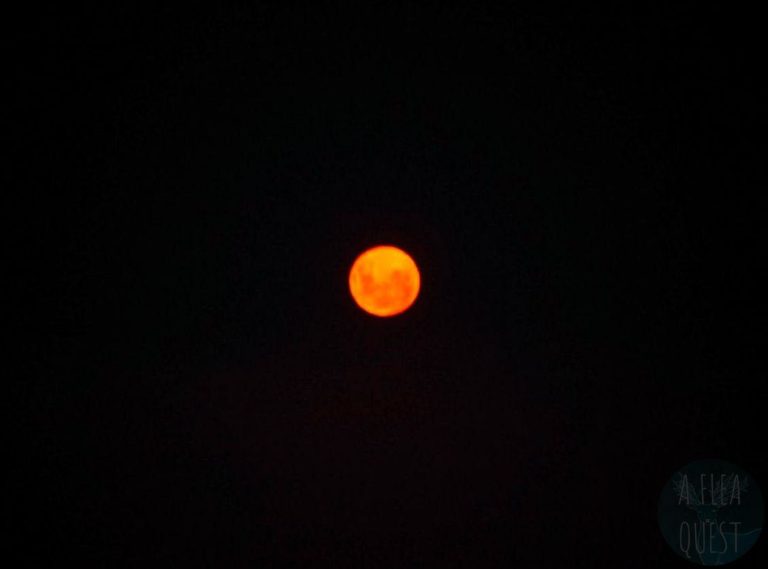 Red moon at Cloud Bay