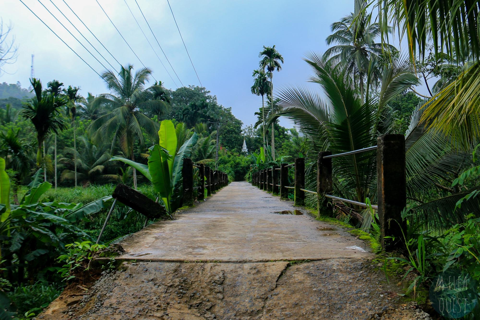 Pont à Sinharaja