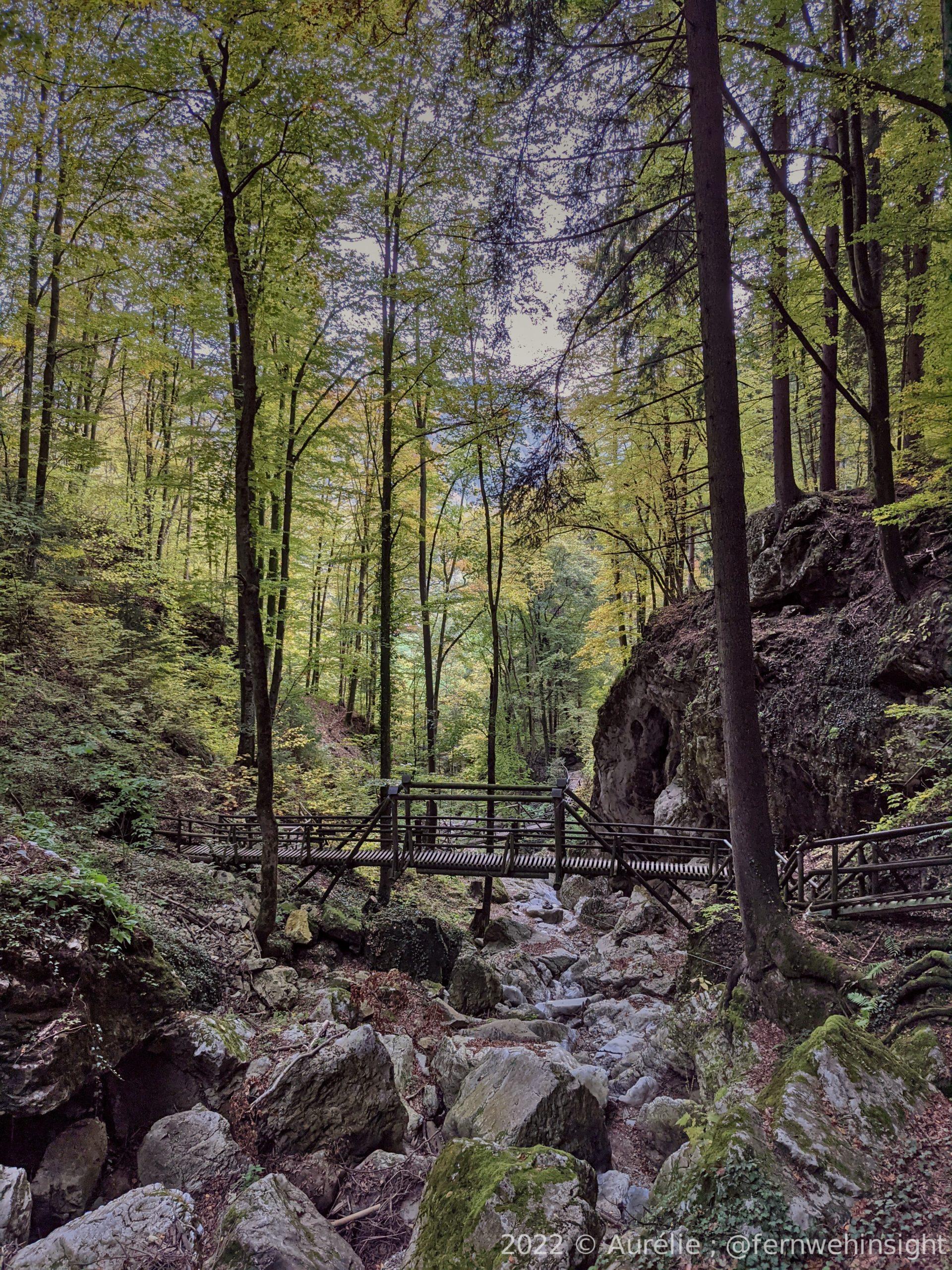 Forêt en fond, pont en bois au milieu de gauche à droite et rocher + rivière au premier plan